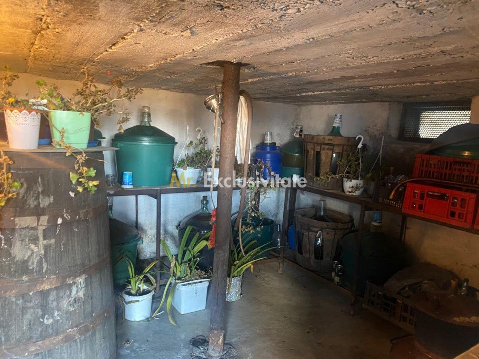 Proprietate cu potențial turistic și agricol | 7.661 mp|Șomanești-GORJ - Poză 17