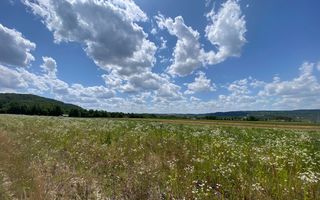 Teren de vanzare in Coas, zona linistita - Poză 3