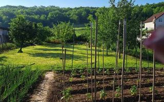 Teren intravilan de vanzare, Ciugud - Poză 2