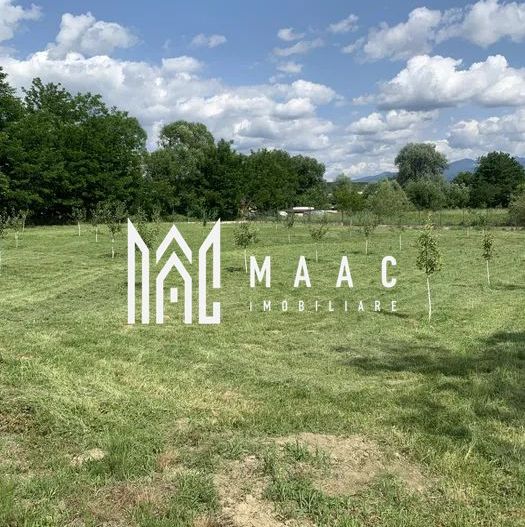 Hala Industrială | Teren 5000 mp | Marșa - Poză 4