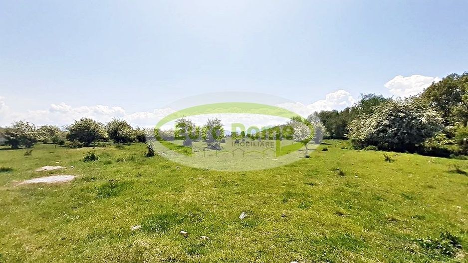 Sanpetru teren pentru dezvoltare imobiliara 4318mp, 50 euro/mp - Poză 5