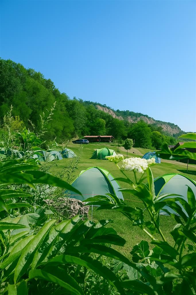 Transilvania Camping, domeniu de 14.400mp,Sanmarghita de Mures:2cladiri, aparta - Poză 3