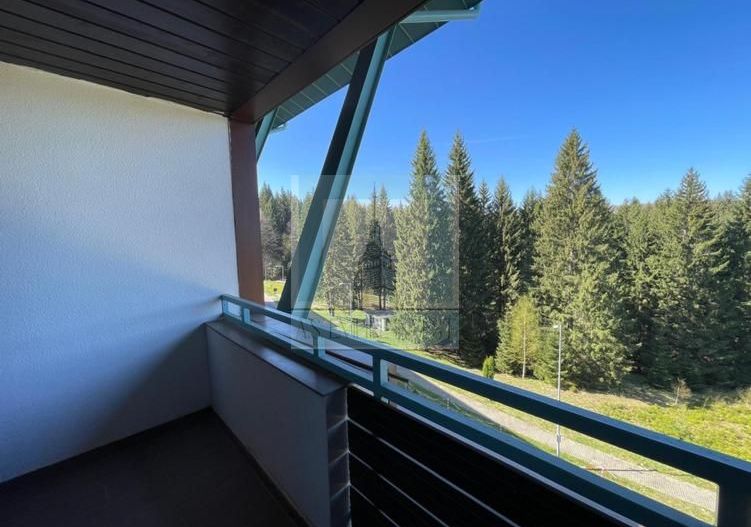 Apartament 2 camere/ Silver Mountain Resort & Spa - Poză 15