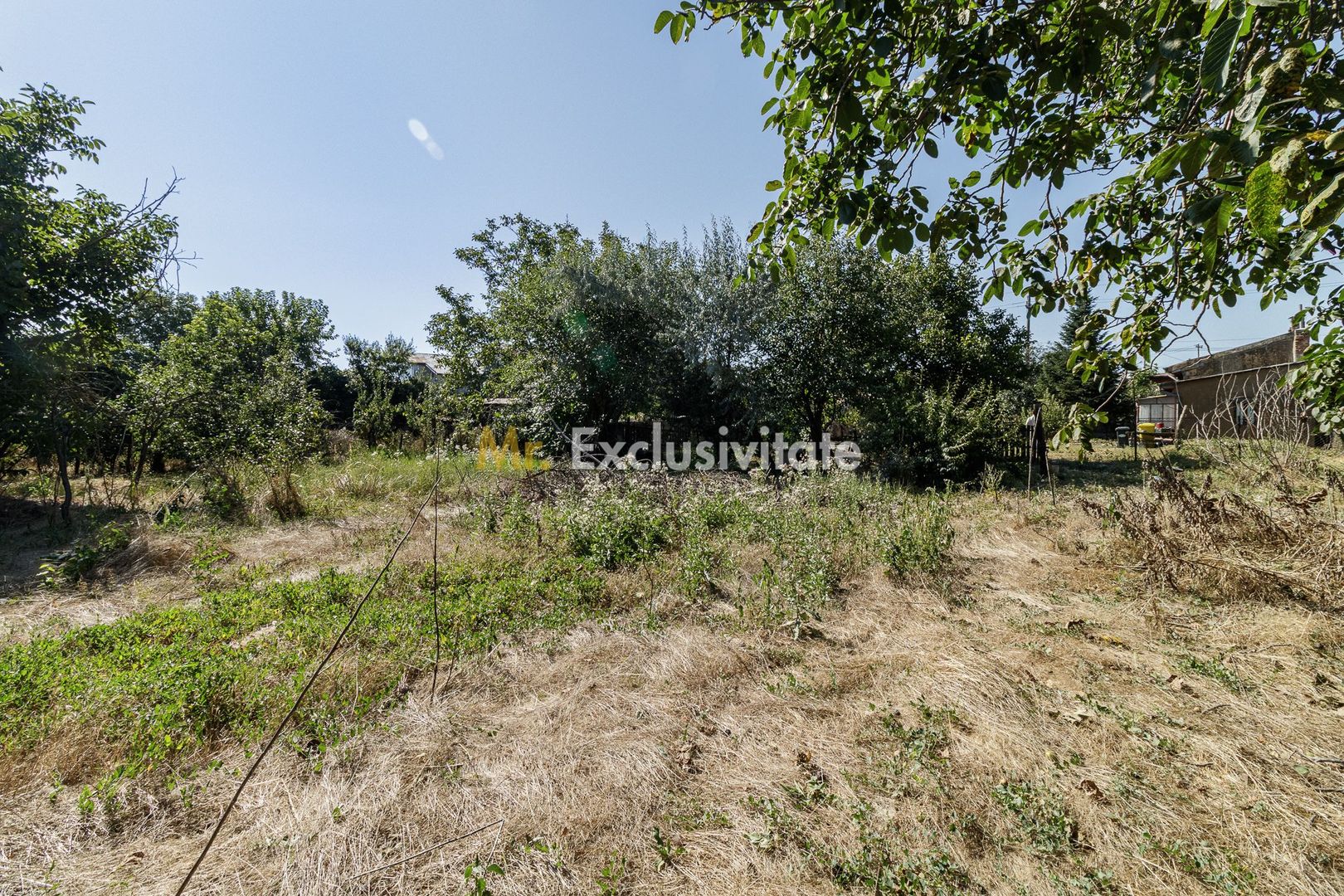 teren 3889 mp Domnesti Primarie - Poză 6