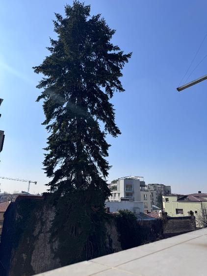 Apartament Dragos Voda / Eminescu - Poză 5