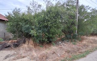 Teren Intravilan/Extravilan de vanzare in Bradestii Batrani - Poză 4