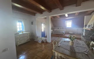 Vilă elegantă și casă independentă pentru oaspeți - Banesti - Poză 19