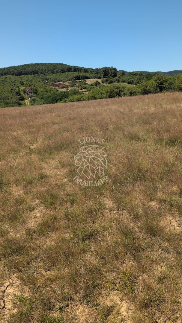 Teren intravilan 500 mp-ideal casa-Valea Sigmirului COMISION 0% - Poză 2