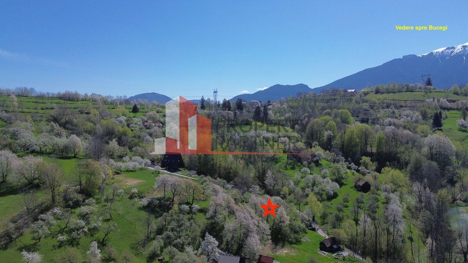 Teren 2500 mp Sohodol - Poză 6