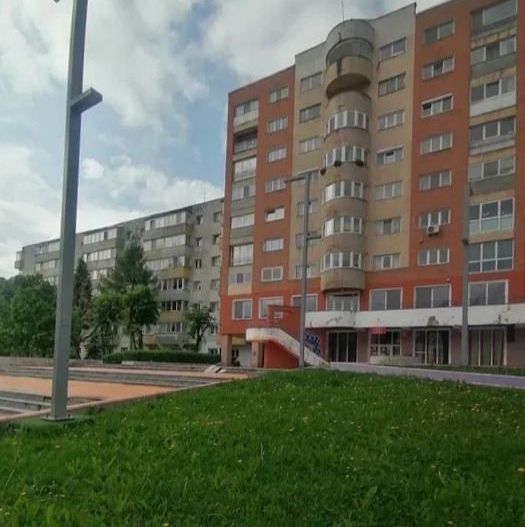 Vanzare gaosoniera complet renovata zona pietonala Racadau - Poză 5