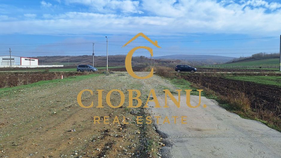 Hala de vanzare in Racari de Jos - Poză 15