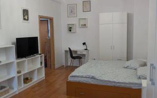 Apartament de închiriat cu 1 cameră în zona Parcul Feroviar și Gară - Poză 2