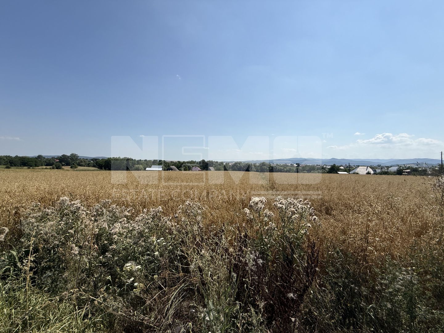 Teren intravilan de vânzare | Horodnic de Sus | 77 ari - Poză 3