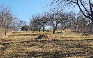 Teren de vanzare in Valcele - Poză 3