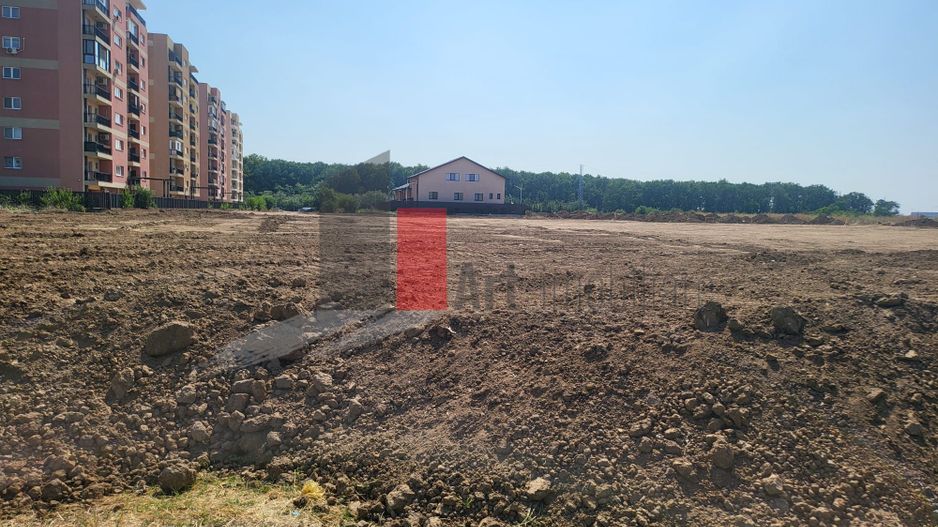 Teren Intravilan Matei Milo - Poză 2