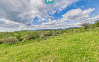 Casă cu teren de 17.681 mp, în loc. Hălmăgel, Arad - Poză 27