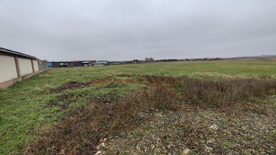 Teren 4588 mp, Remetea Mare Comision 0% - Poză 1