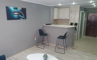 De inchiriat garsoniera in Tiglina 1, 250 euro - Poză 3