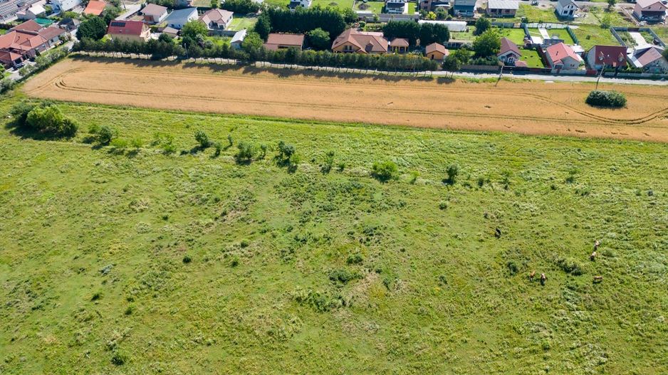 Loc de casă/teren intravilan în Bujac - Poză 8