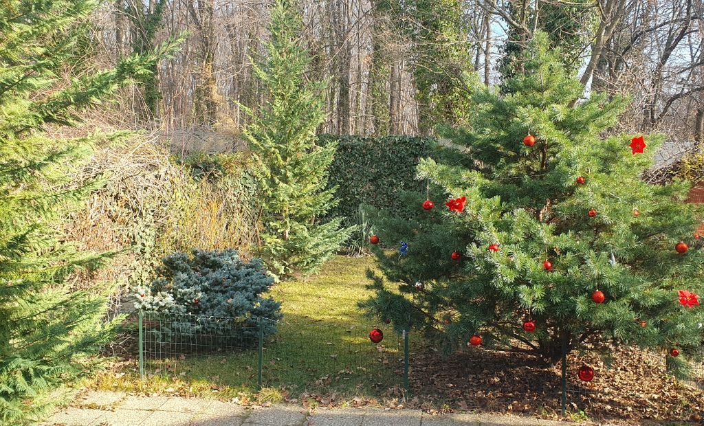 Vanzare vila 5 camere | Langa padure | Bucuresti | Baneasa - Poză 18