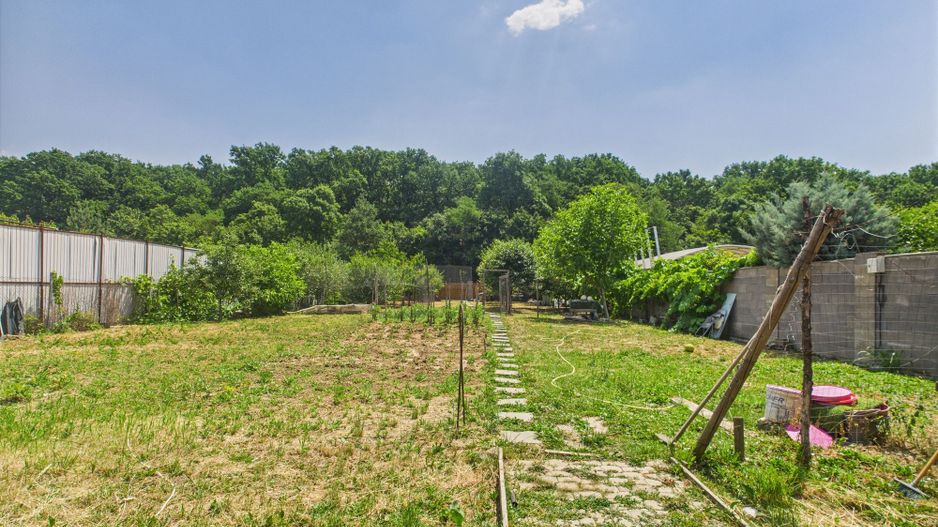 Teren edificabil 1106 mp – Dumbrăvița - Poză 6