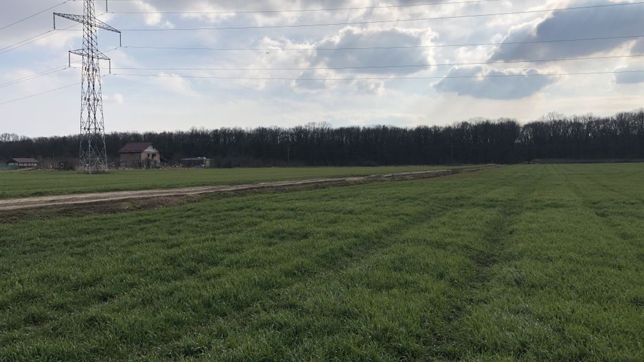 TEREN DUMBRAVITA -ZONA LAC - Poză 1