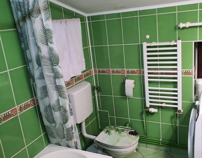 BRASADAS închiriază ap 2 cam la MANSARDA zona Dorobanti. - Poză 9