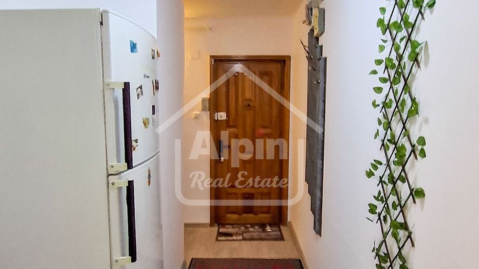 Suprafata Generoasa I Zona Gemenii - Poză 25