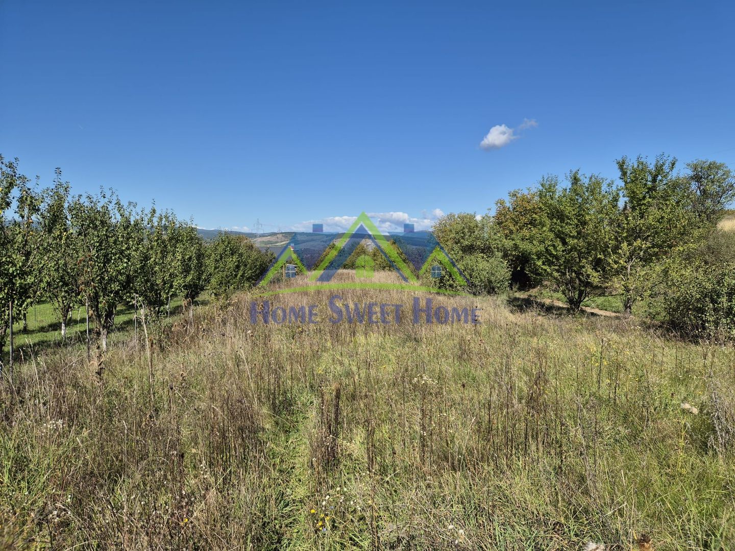 Teren intravilan în zona Lătureni – Buituri, în spatele casei nr. 100! - Poză 5