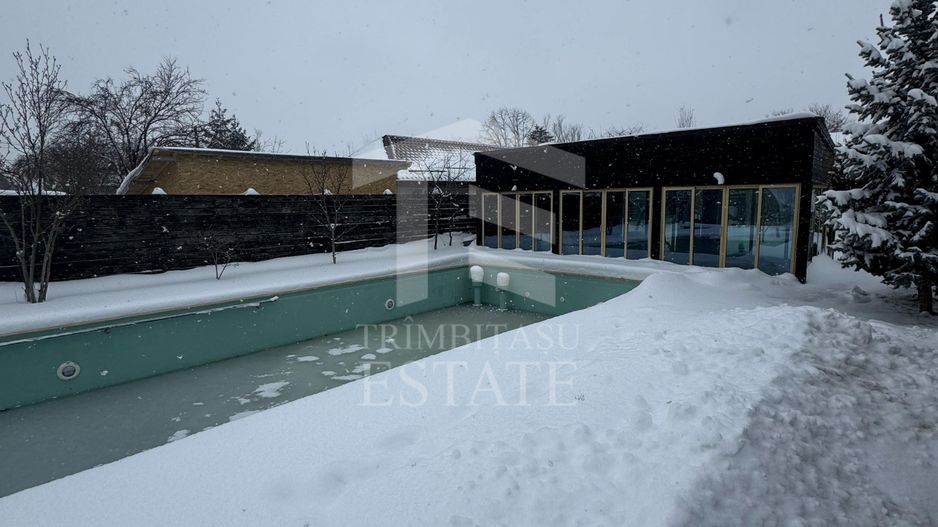 Vila cu piscina Snagov Ciofliceni - Poză 3