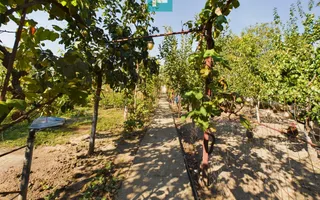 Casă cu teren de 1246 mp în Pârneava - Poză 13