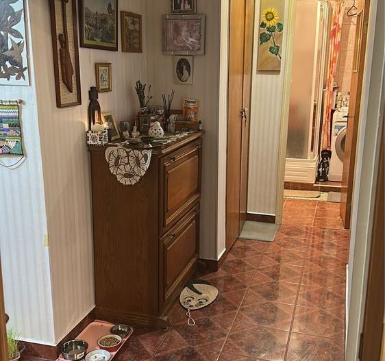 Apartament 3 camere. Zona Tineretului. Piata Norilor - Poză 1