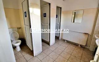 Spatiu de inchiriat Craiesti - Poză 13