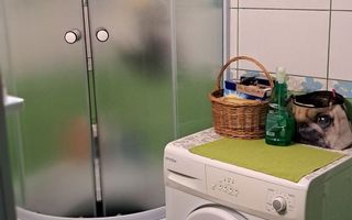 Apartament 3 camere, 56 mp, parter înalt, Tudor - Poză 6