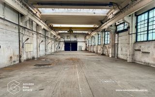 Hala industriala cu pod rulant pentru afacerea ta, 600 mp - Poză 4