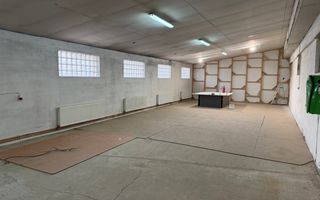 Hală industrială cu poziționare strategică în Giarmata - Poză 18