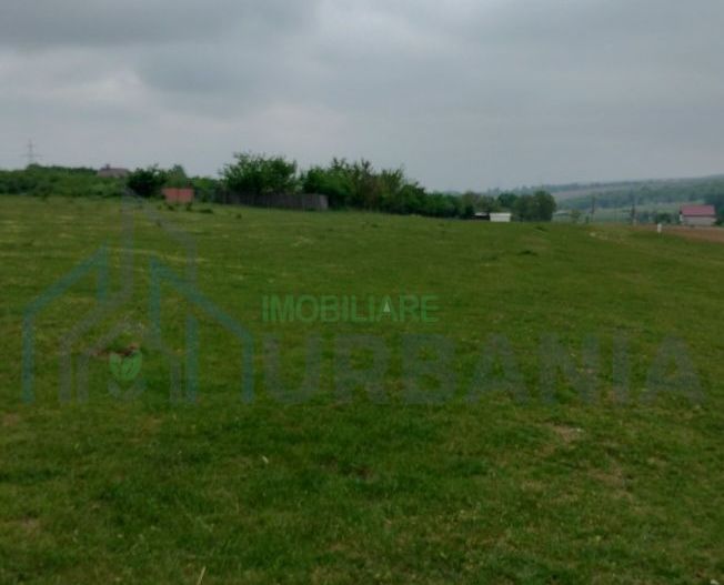 Teren intravilan 7.200 m2, Bordea, Grajduri, ideal case/ investitie - Poză 2