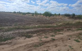 Teren de vanzare 4500mp Strada Rasaritului Darvari Ciorogarla A0 - Poză 2