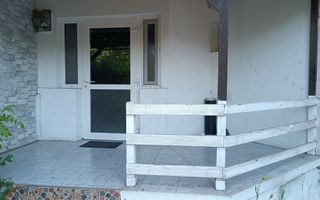 Spațiu Comercial Mic, Stradă Principală, Zona Nicolina, Aroneanu - Poză 2