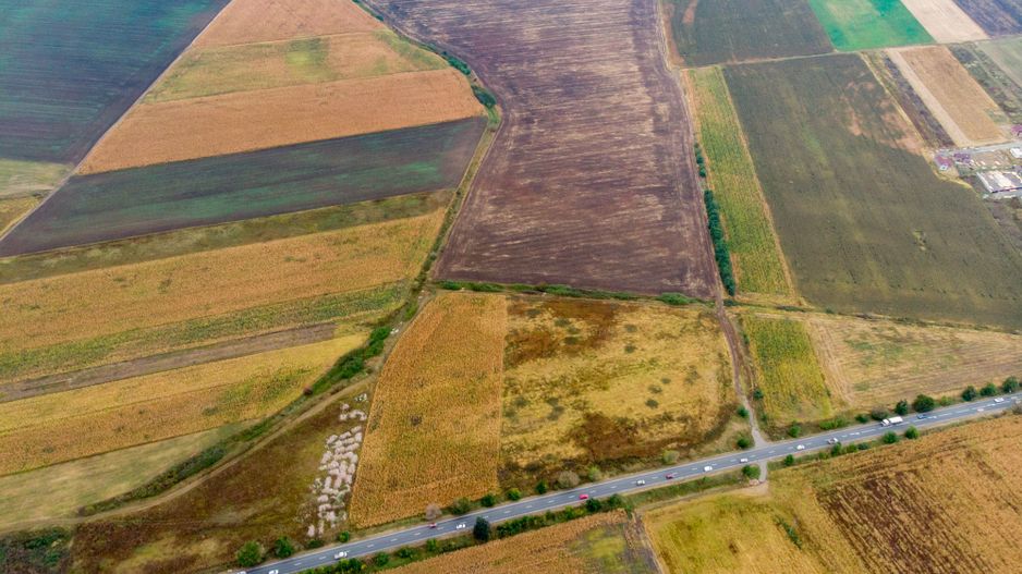 Teren de 19798mp în Zimandu Nou - Poză 4