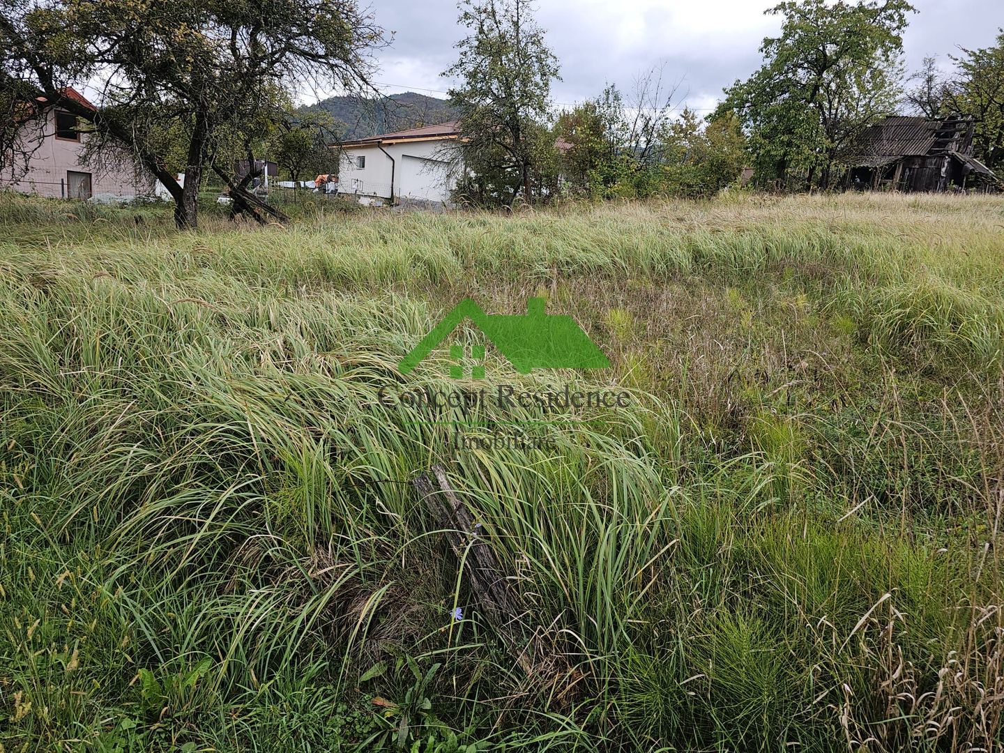 Vânzare teren intravilan 2800 mp – Baia Sprie, cartier de case - Poză 2