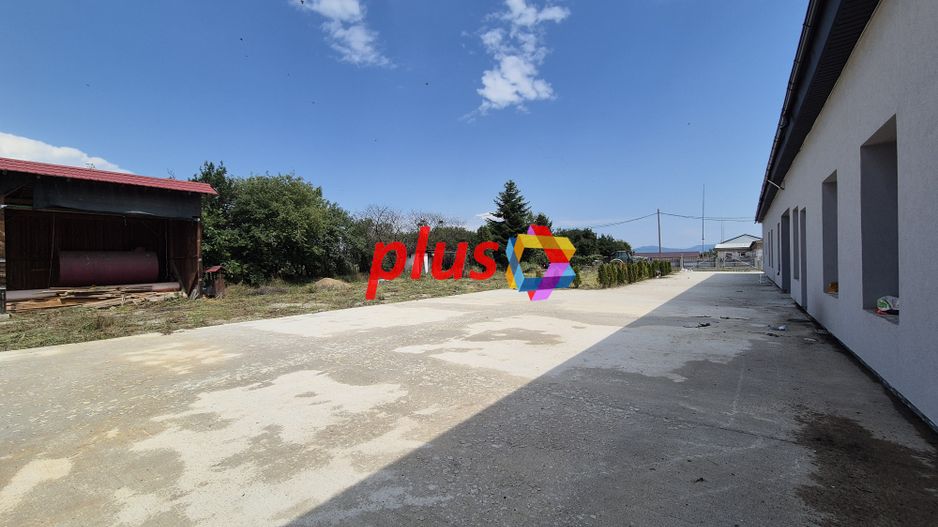 Spatiu industrial- 1240 mp  # plus-imo.ro - Poză 3