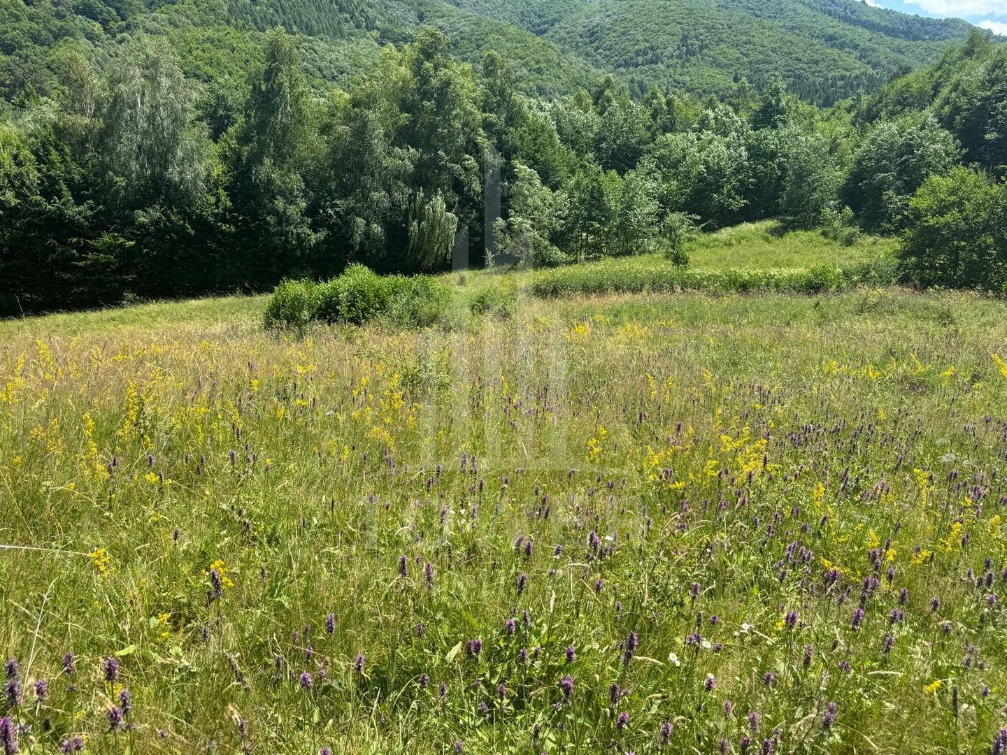 Teren intravilan 4600mp - 55 EUR/mp - EXCLUSIVITATE CISNADIOARA - COMISION 0% - Poză 10