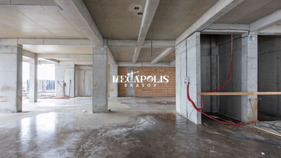 CARPATHIA Brașov - Poză 14