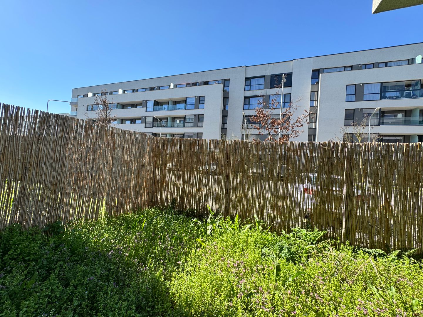 3 camere cu Gradina Proprie Sector 1 - Mall Colosseum - Poză 14