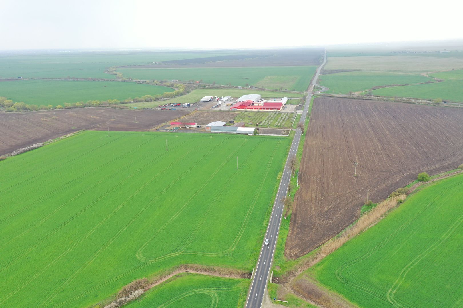 Teren industrial Dudestii Noi - Poză 4