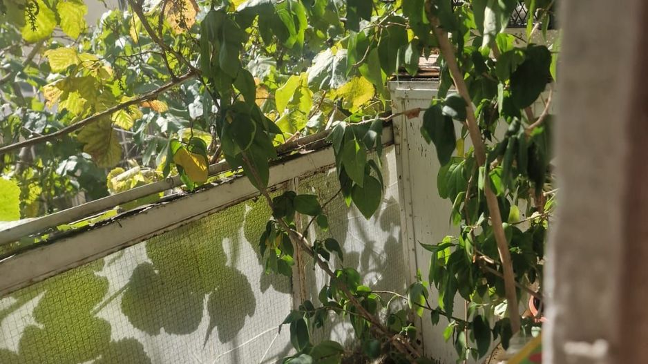 Vanzare apartament 2 camere - Sos. Stefan cel Mare Lizeanu - Poză 6