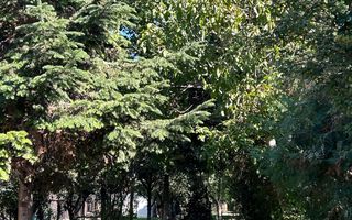 Casă individuală Buftea, 3.162 mp teren, ieșire spre lac - Poză 45