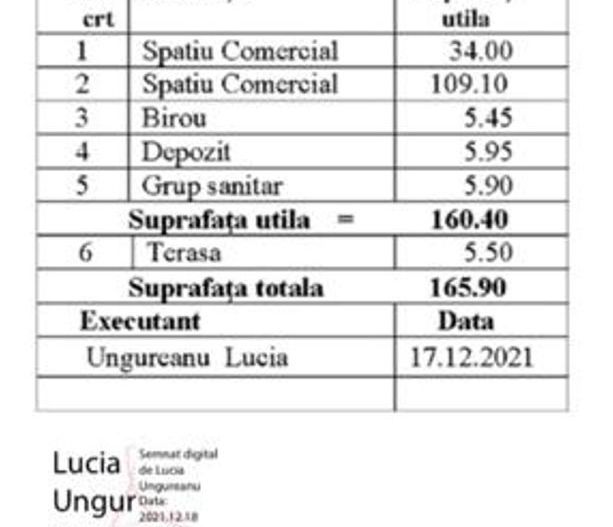 Sp. com. 166mp+100mp,ideal cafenea,bar,loc de joaca,farmacie, etc. - Poză 2