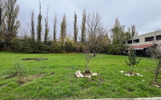 1176 mp | Teren liber | Ideal locuinta | Zona pazita |Pret Promotional - Poză 7